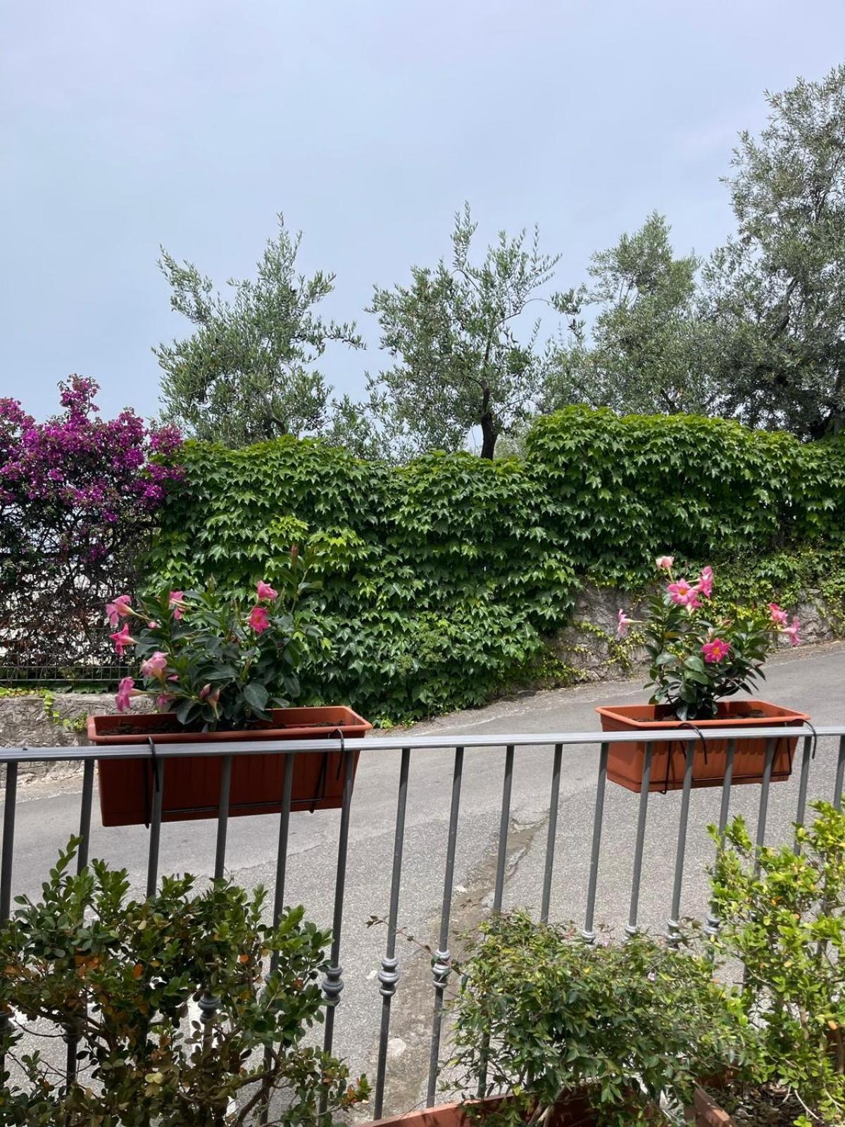 Villa Valentina Suite Massa Lubrense Luaran gambar